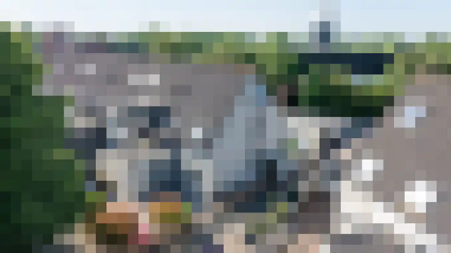 Moerbeibloesem 40 Doetinchem thumbnail 46