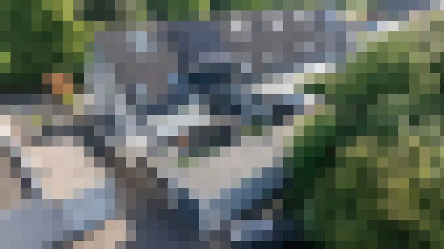 Moerbeibloesem 40 Doetinchem thumbnail 47