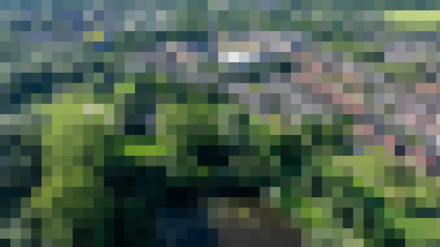 Moerbeibloesem 40 Doetinchem thumbnail 48
