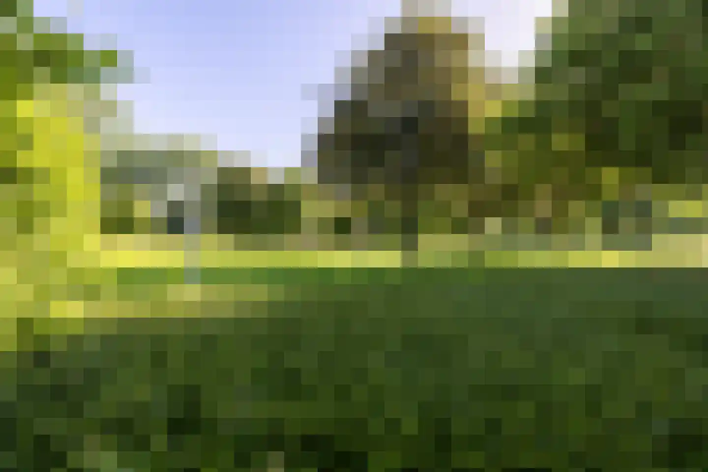 Moerbeibloesem 40 Doetinchem thumbnail 49