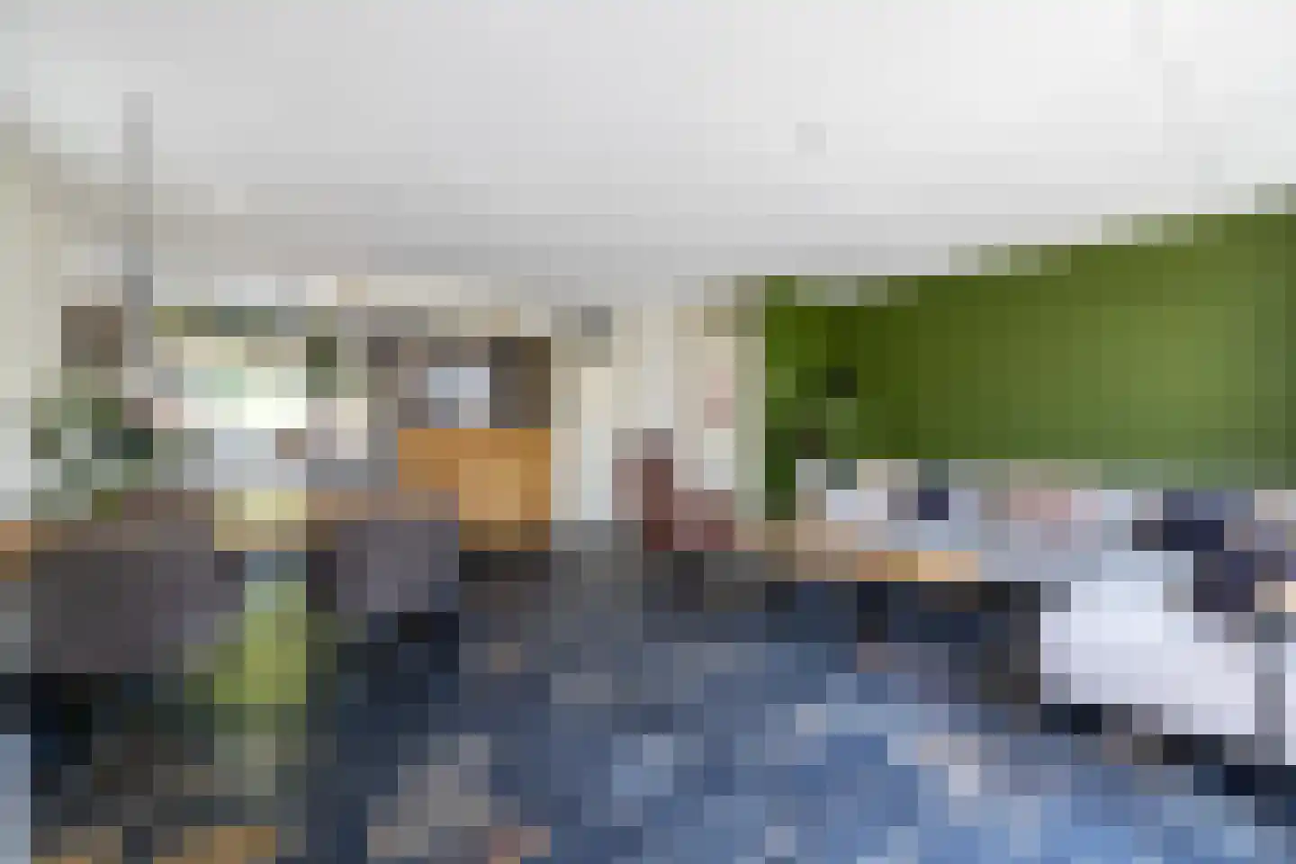 Moerbeibloesem 40 Doetinchem thumbnail 5