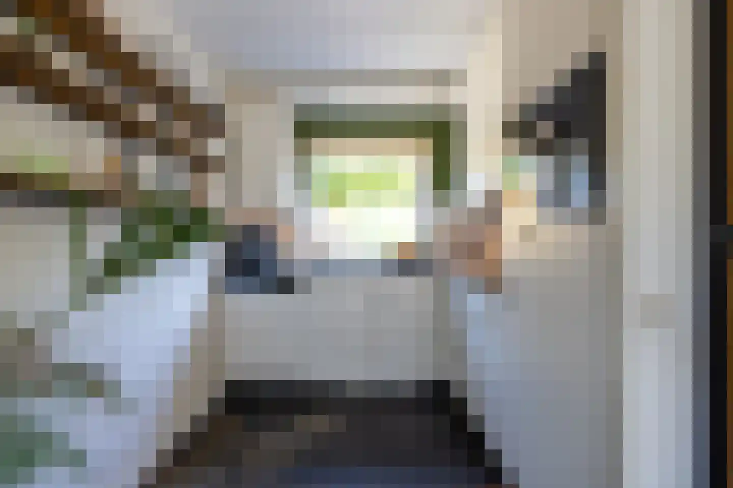 Moerbeibloesem 40 Doetinchem thumbnail 7