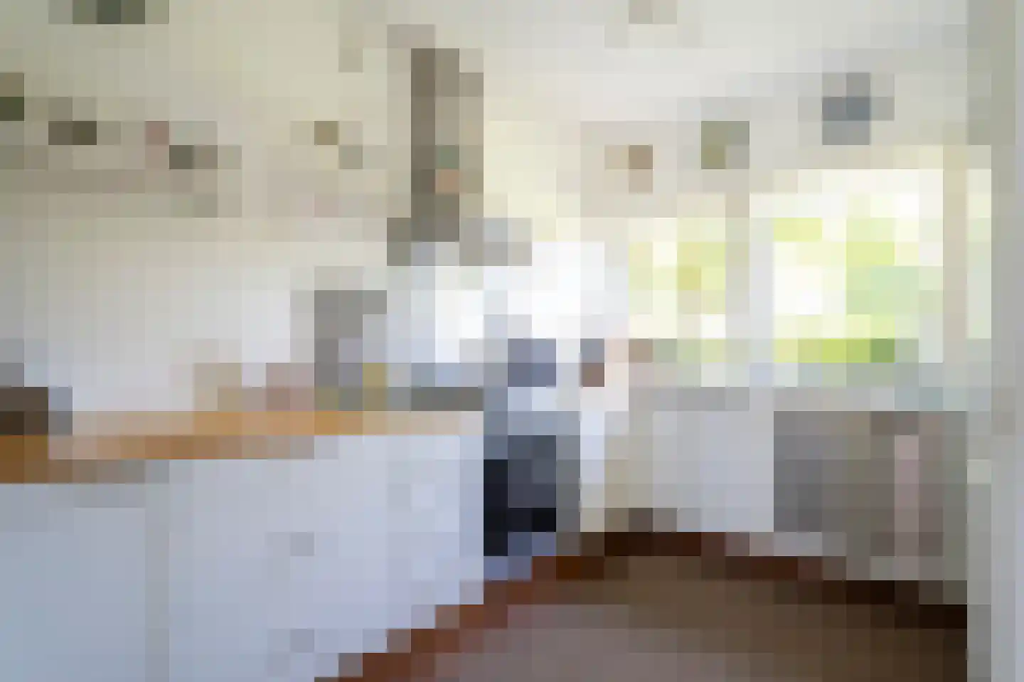 Moerbeiboom 10 Culemborg thumbnail 11