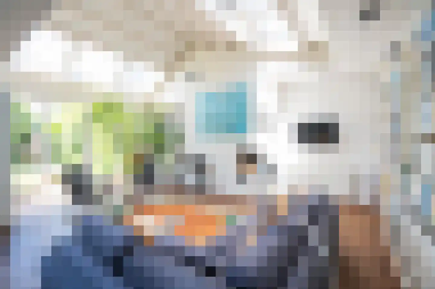 Moerbeiboom 10 Culemborg thumbnail 13