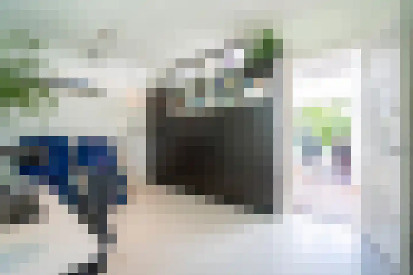 Moerbeiboom 10 Culemborg thumbnail 17