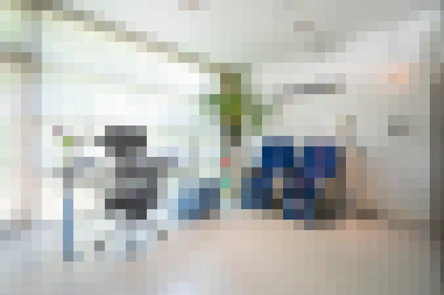 Moerbeiboom 10 Culemborg thumbnail 18