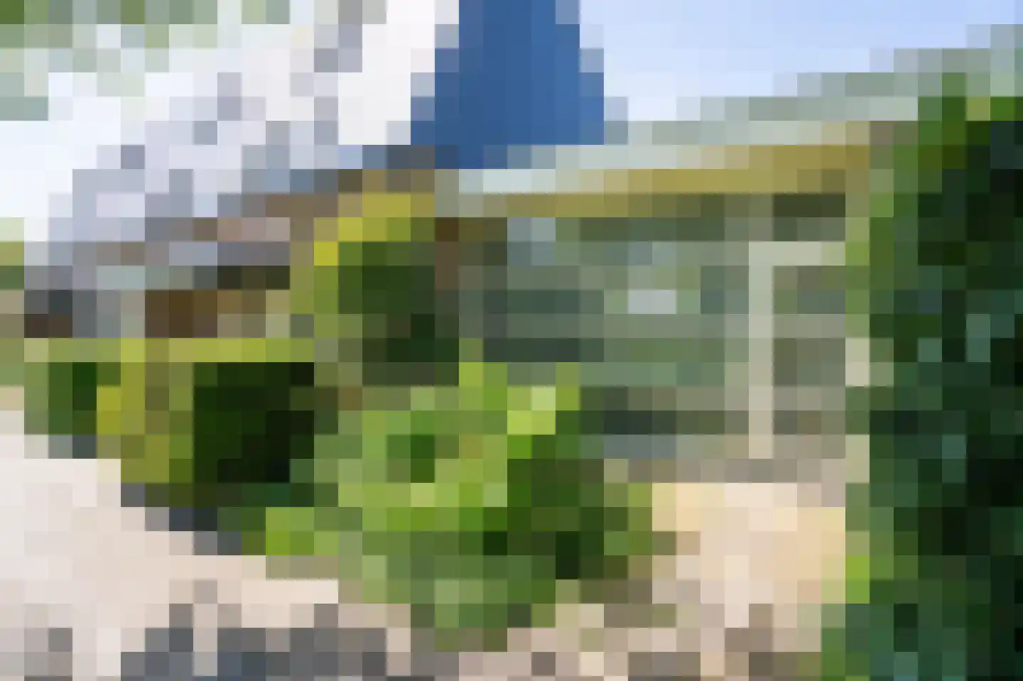 Moerbeiboom 10 Culemborg thumbnail 21
