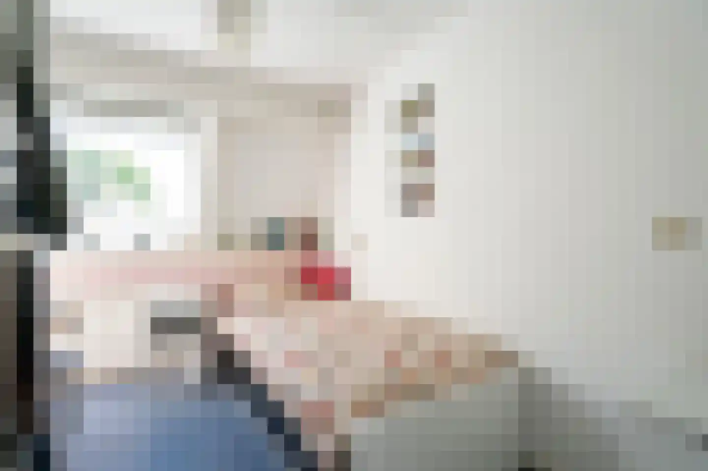 Moerbeiboom 10 Culemborg thumbnail 31