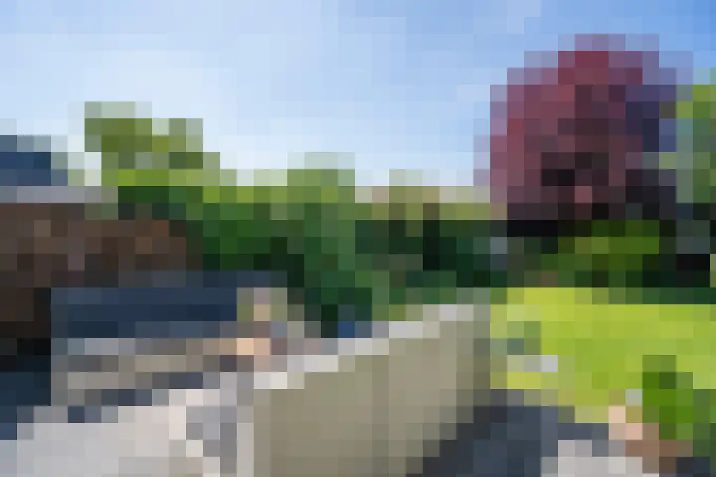 Moerbeiboom 10 Culemborg thumbnail 39
