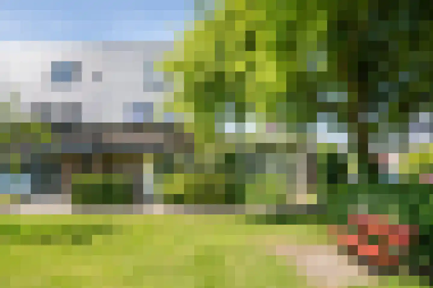 Moerbeiboom 10 Culemborg thumbnail 4
