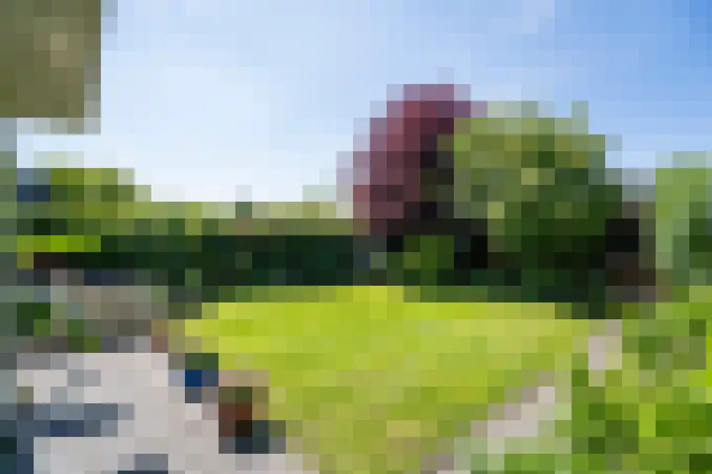 Moerbeiboom 10 Culemborg thumbnail 40
