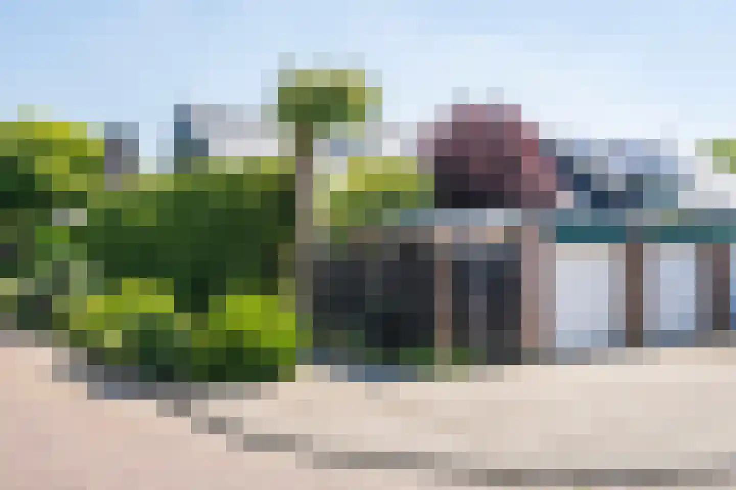 Moerbeiboom 10 Culemborg thumbnail 43