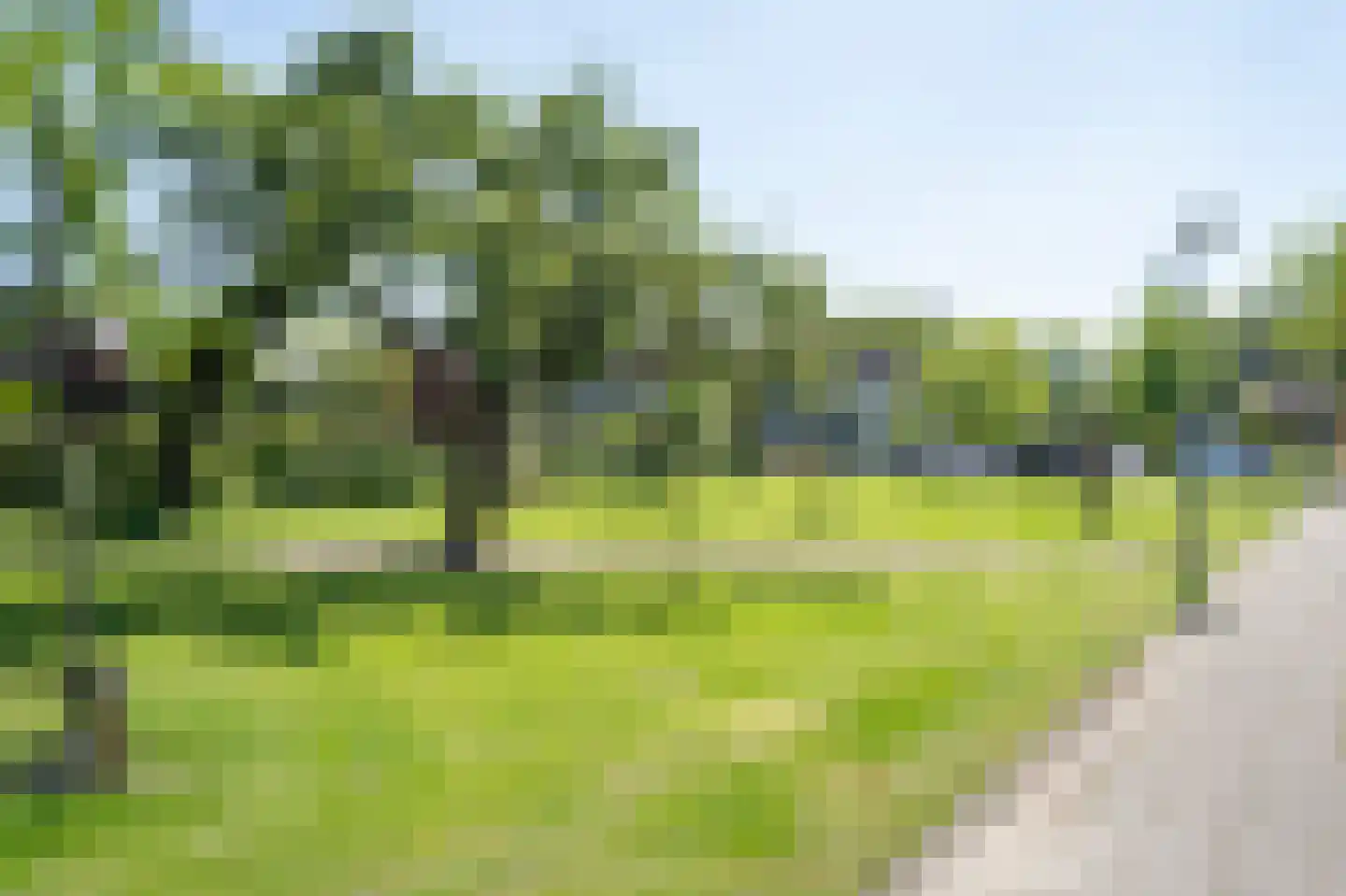 Moerbeiboom 10 Culemborg thumbnail 46