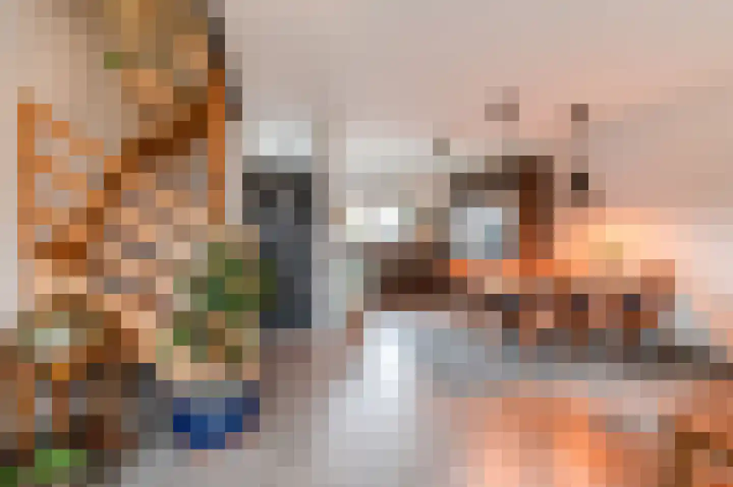 Moerbeiengaard 26 Wijk bij Duurstede thumbnail 11