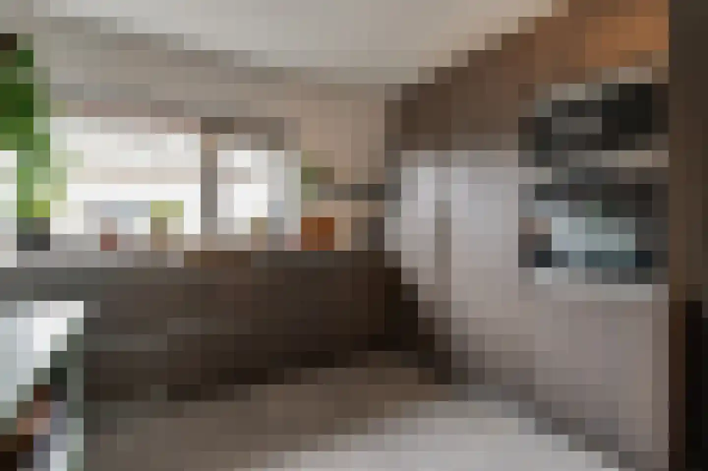 Moerbeiengaard 26 Wijk bij Duurstede thumbnail 14