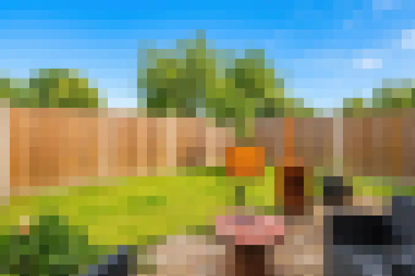 Moerbeiengaard 26 Wijk bij Duurstede thumbnail 15