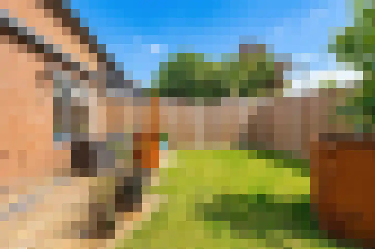 Moerbeiengaard 26 Wijk bij Duurstede thumbnail 17