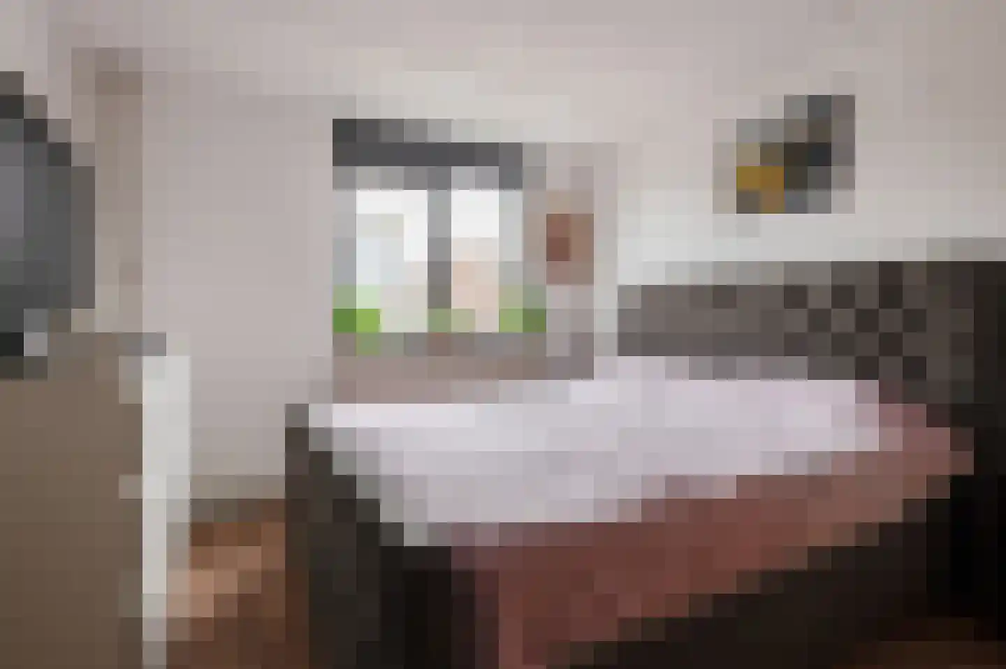 Moerbeiengaard 26 Wijk bij Duurstede thumbnail 22