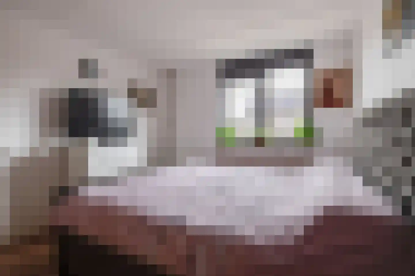 Moerbeiengaard 26 Wijk bij Duurstede thumbnail 23