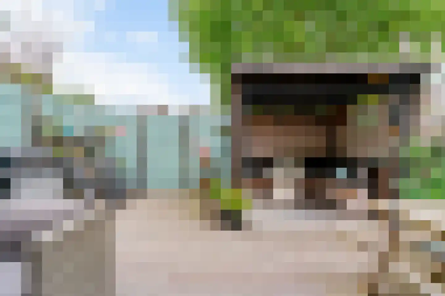 Moerbeiengaard 48 Wijk bij Duurstede thumbnail 19