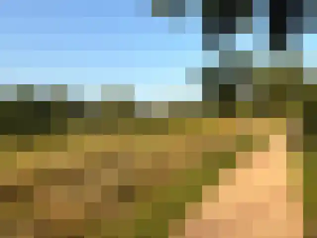 Moerbeiengaard 48 Wijk bij Duurstede thumbnail 28