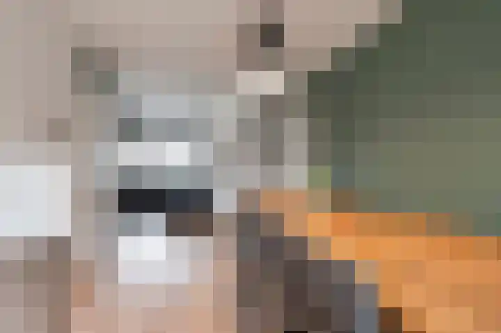 Moerbeiengaard 7 Wijk bij Duurstede thumbnail 12