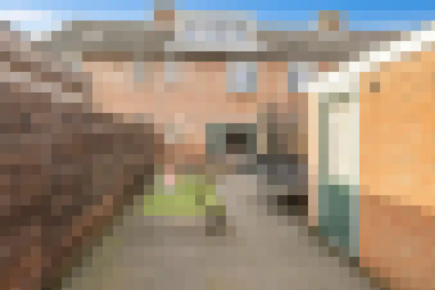 Moerbeiengaard 7 Wijk bij Duurstede thumbnail 14