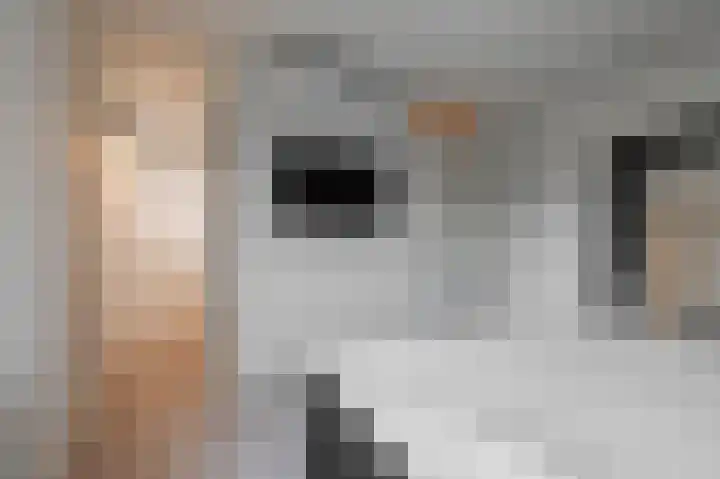 Moerbeiengaard 7 Wijk bij Duurstede thumbnail 18