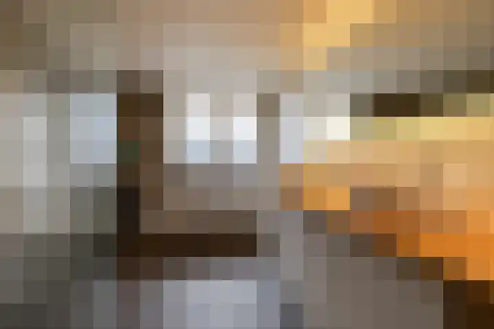 Moerbeiengaard 7 Wijk bij Duurstede thumbnail 21
