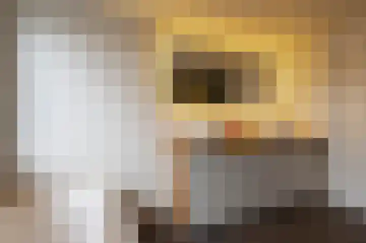 Moerbeiengaard 7 Wijk bij Duurstede thumbnail 23