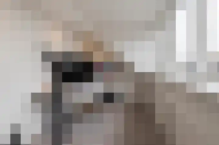 Moerbeiengaard 7 Wijk bij Duurstede thumbnail 26