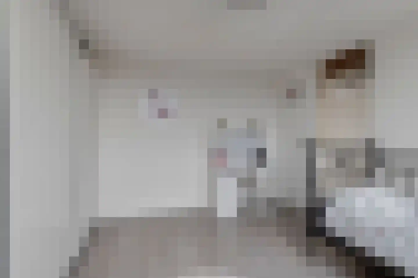 Moerbeiengaard 7 Wijk bij Duurstede thumbnail 31