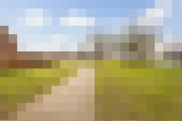 Moerbeiengaard 7 Wijk bij Duurstede thumbnail 32