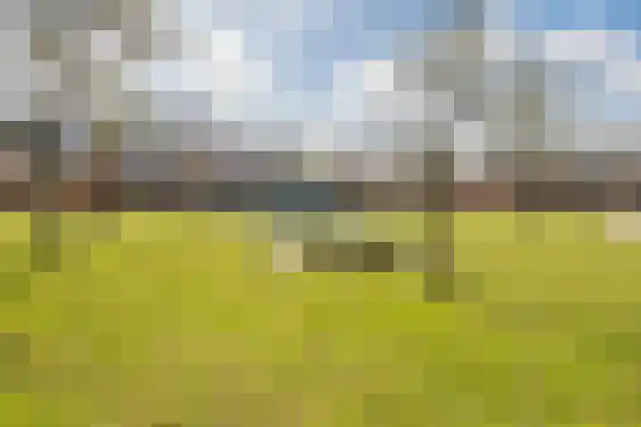 Moerbeiengaard 7 Wijk bij Duurstede thumbnail 33