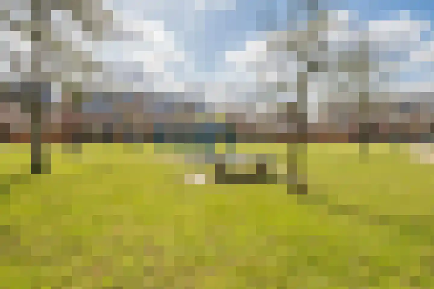 Moerbeiengaard 7 Wijk bij Duurstede thumbnail 34