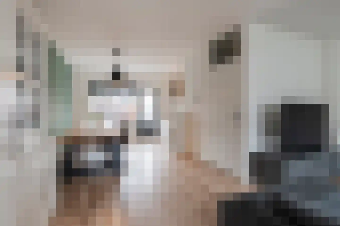 Moerbeiengaard 7 Wijk bij Duurstede thumbnail 8