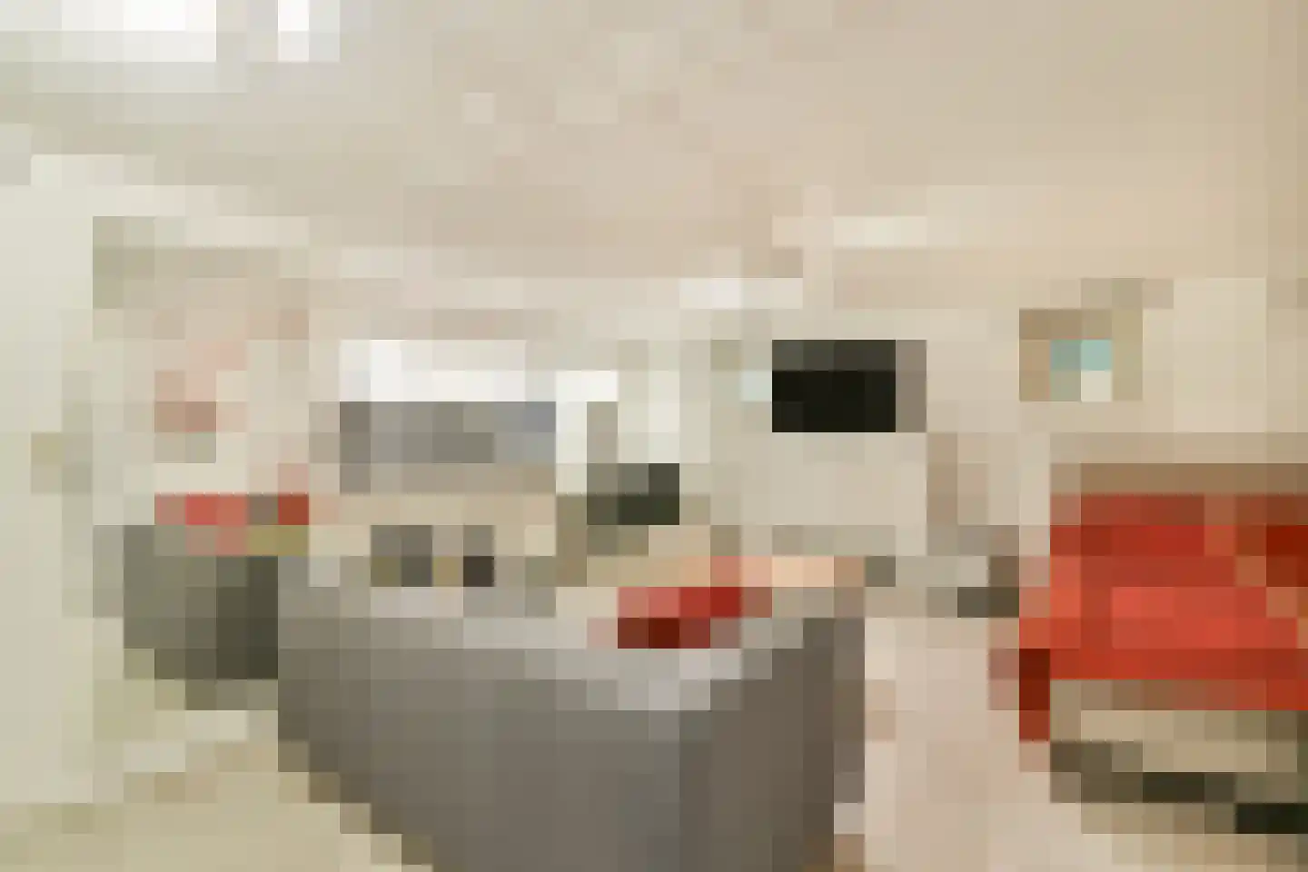 Moerbeienstraat 6 Amsterdam thumbnail 22