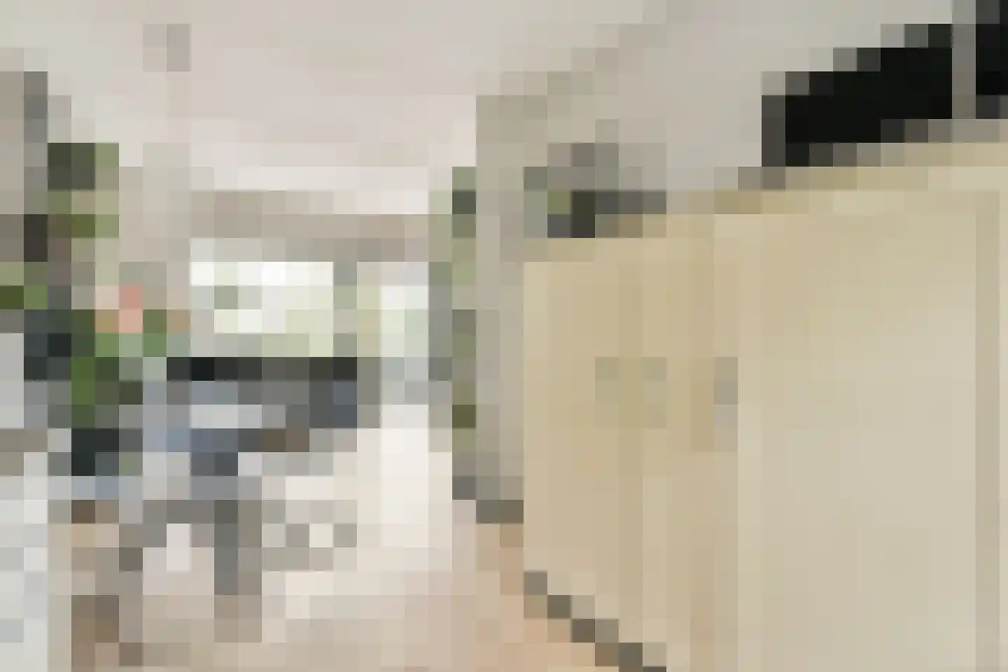 Moerbeienstraat 6 Amsterdam thumbnail 5