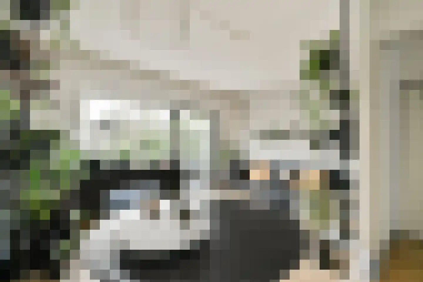 Moerbeienstraat 6 Amsterdam thumbnail 7