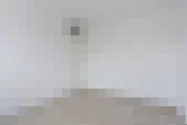 Moerbeigaarde 102 Zoetermeer thumbnail 17
