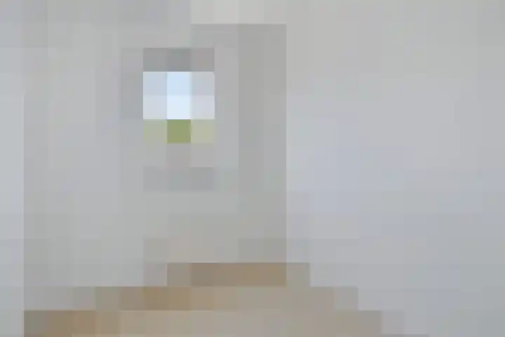 Moerbeigaarde 102 Zoetermeer thumbnail 18