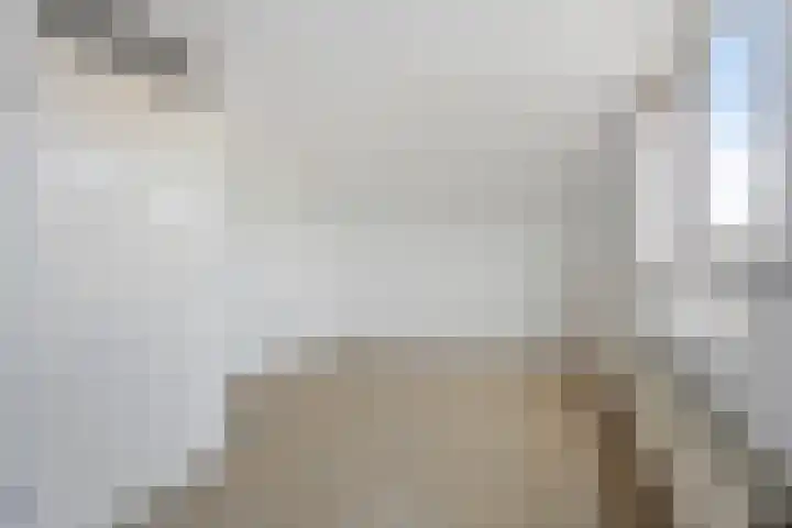 Moerbeigaarde 102 Zoetermeer thumbnail 22