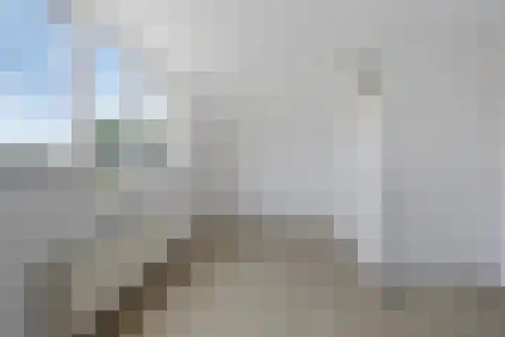 Moerbeigaarde 102 Zoetermeer thumbnail 23