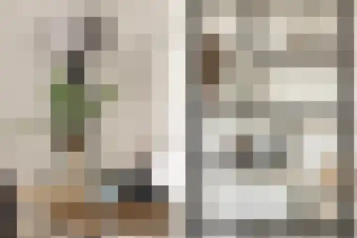 Moerbeigaarde 11 Hendrik-Ido-Ambacht thumbnail 14