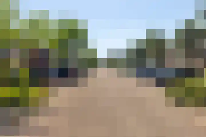 Moerbeigaarde 11 Hendrik-Ido-Ambacht thumbnail 38