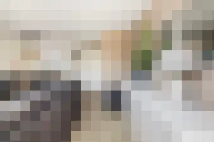 Moerbeigaarde 11 Hendrik-Ido-Ambacht thumbnail 7