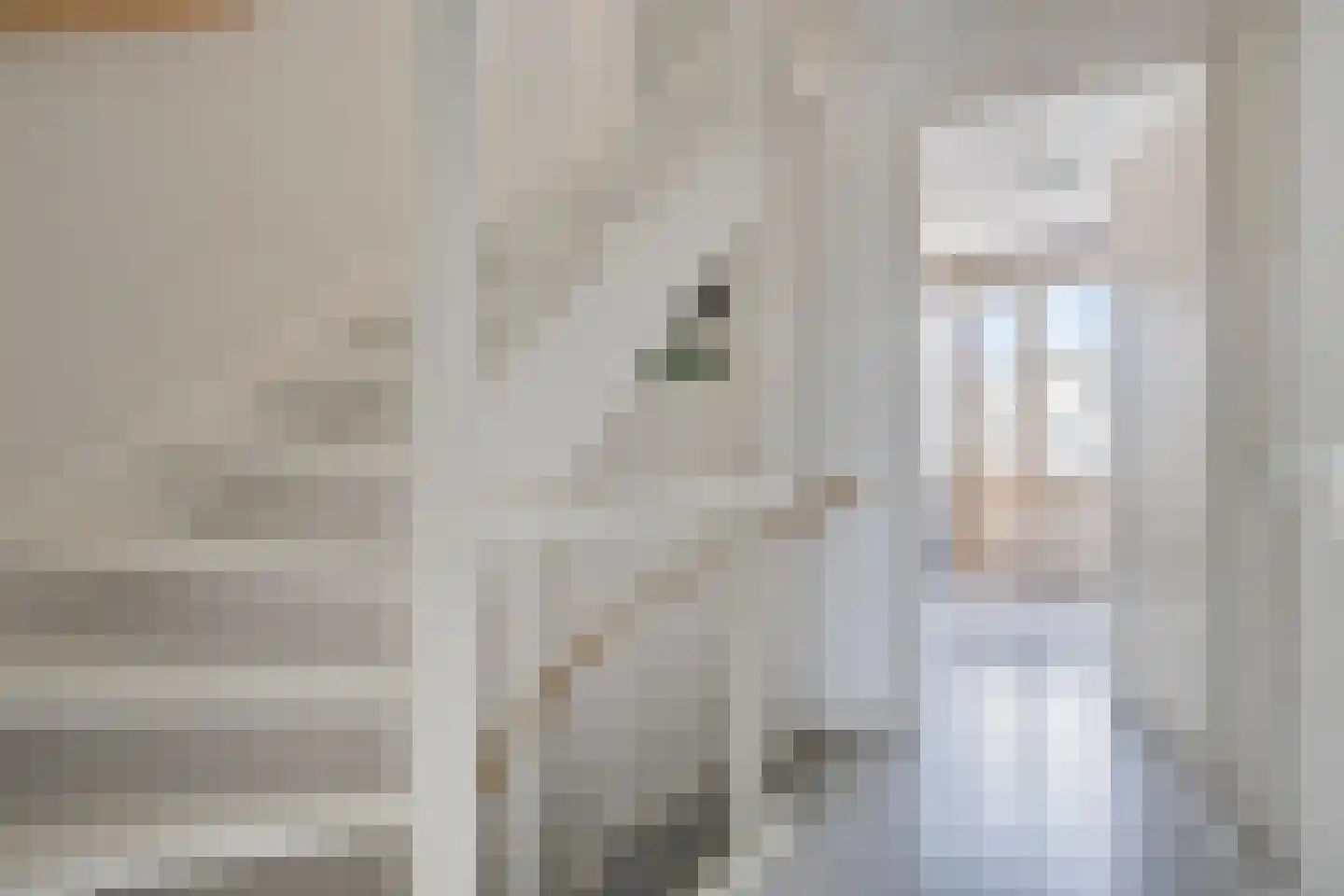 Moerbeigaarde 12 Hendrik-Ido-Ambacht thumbnail 12