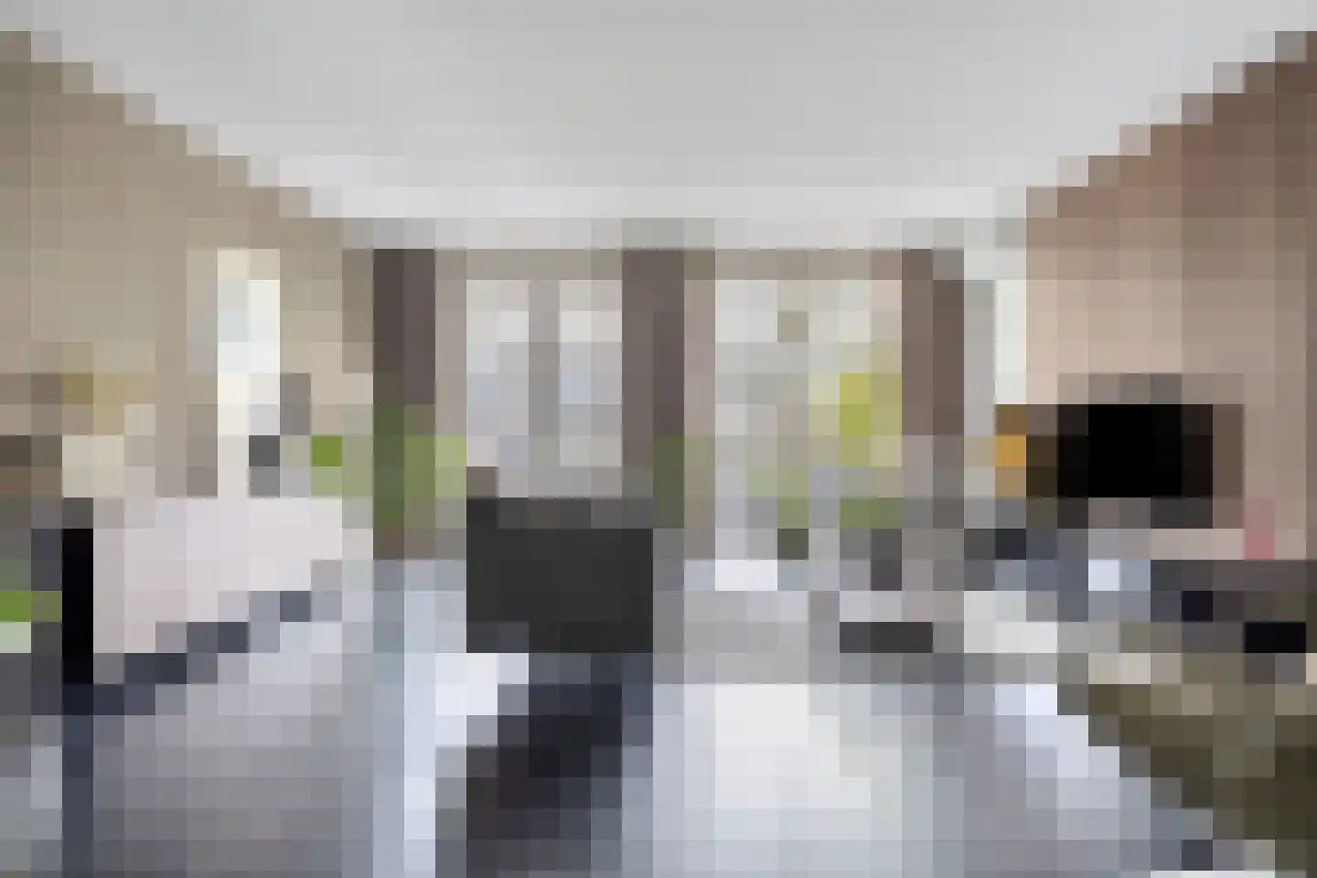 Moerbeigaarde 12 Hendrik-Ido-Ambacht thumbnail 7