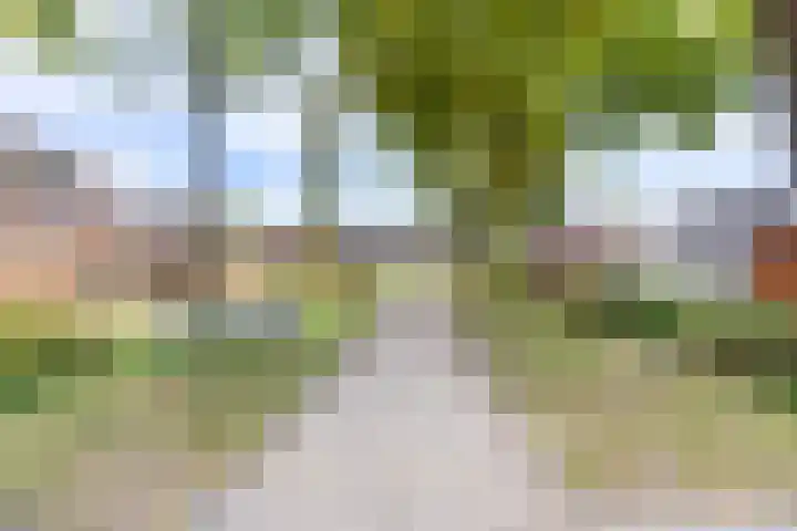 Moerbeigaarde 13 Nieuwegein thumbnail 29
