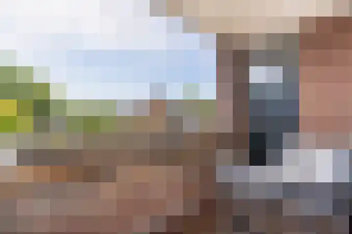 Moerbeigaarde 13 Nieuwegein thumbnail 7